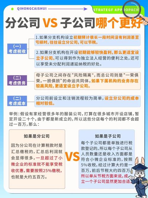 分公司 vs 子公司哪个更好❓